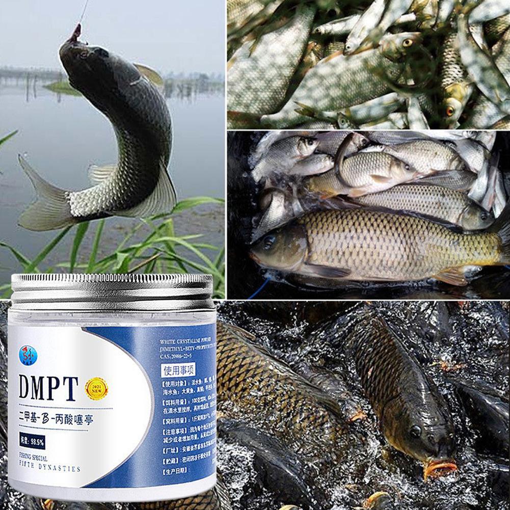 Приманка для рыбной ловли, 50  – обзор и цена Fishing Equipment For Sale